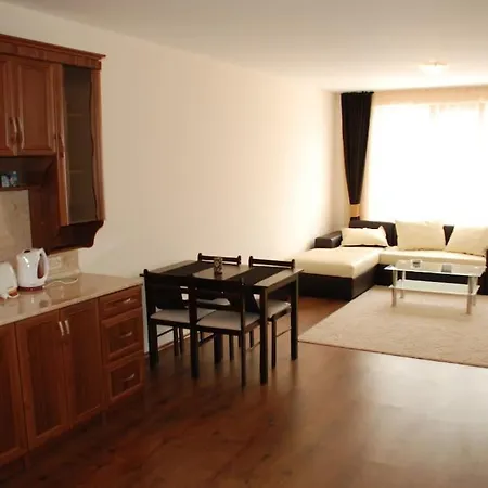 Appartement едноспален Pirin Palace